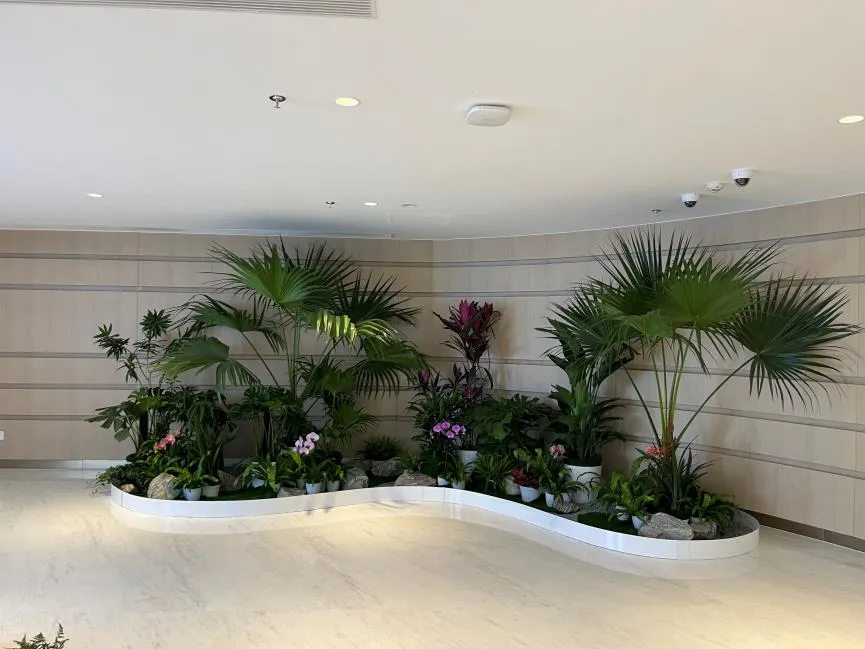 宁波杭州湾花卉出租，给您独特的花卉装饰服务！